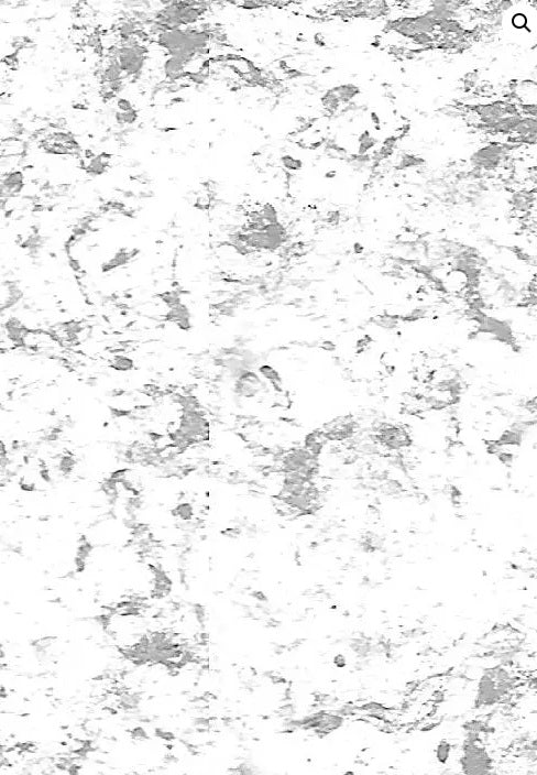 Multispec App Multispec – Resurface Solutions